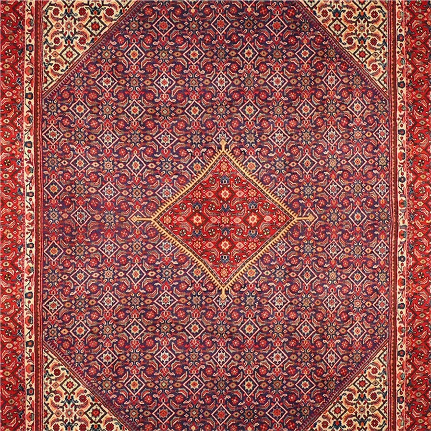 Mahal Rugs